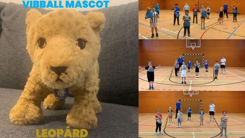 Vass Ildikó Basketball back in action and presenting the VIBBALL mascot
